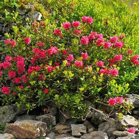 Bristol Apt-a By Interhome וונגן