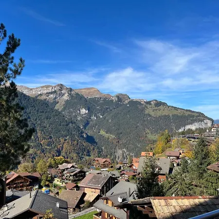 Bristol Apt-a By Interhome Apartman Wengen