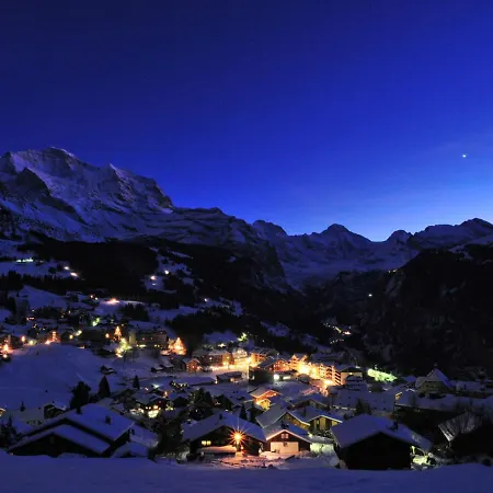 Bristol Apt-a By Interhome Wengen