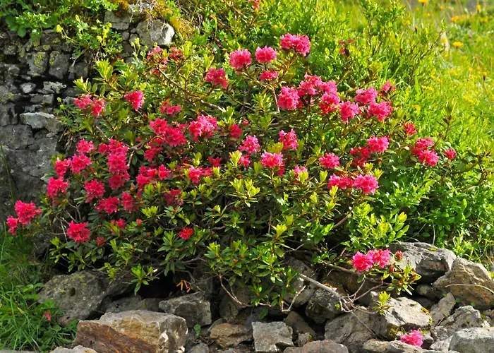 Bristol Apt-a By Interhome 翁根